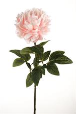 PEONY SINGLE MICRO PINK