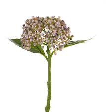 HYDRANGEA SEED SPRAY LAVANDER