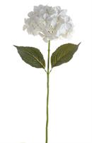 HYDRANGEA SPRAY WHITE
