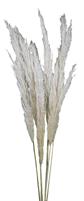 PAMPAS MEDIA CM.100/110 BSX5PZ