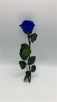 ROSA STABILIZZATA STELO
