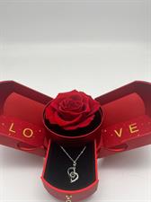 confezione regalo rossa con rosa stabilizzata e collana