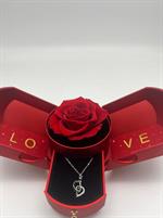confezione regalo rossa con rosa stabilizzata e collana