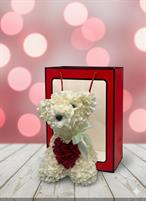 teddy ortensia bianco cuore rosso cm 30