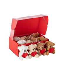 ESPOSITORE S/12 ORSETTI H 8