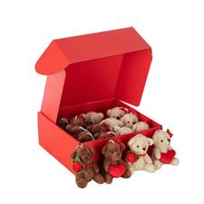 ESPOSITORE S/16 ORSETTI H 11