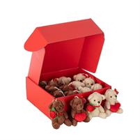 ESPOSITORE S/16 ORSETTI H 11